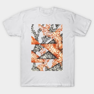 Volcanoes T-Shirt